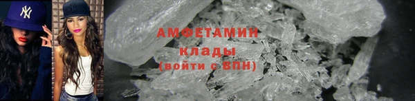 прущие грибы Михайловка