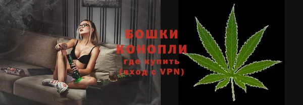 прущие грибы Михайловка