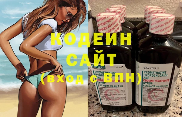 прущие грибы Михайловка