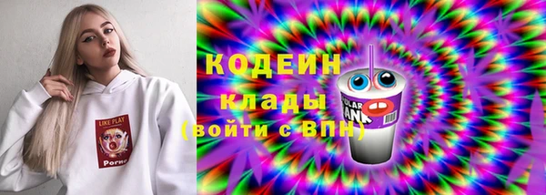 прущие грибы Михайловка