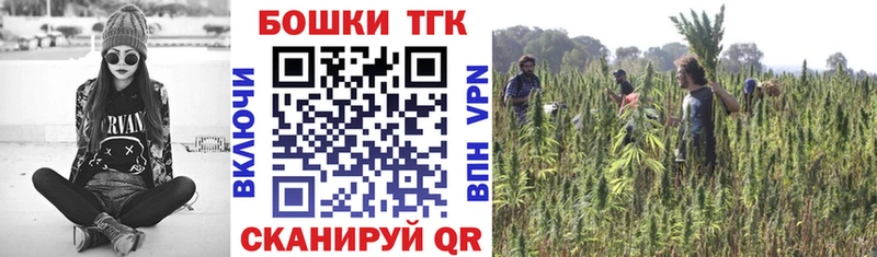 Конопля OG Kush  купить наркоту  Александровск 